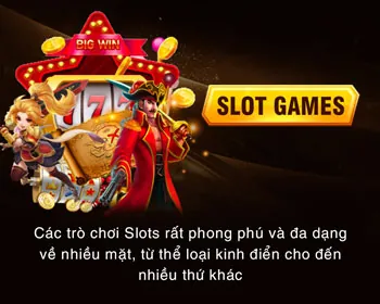 Quy tắc trò chơi và Cược 1 slot